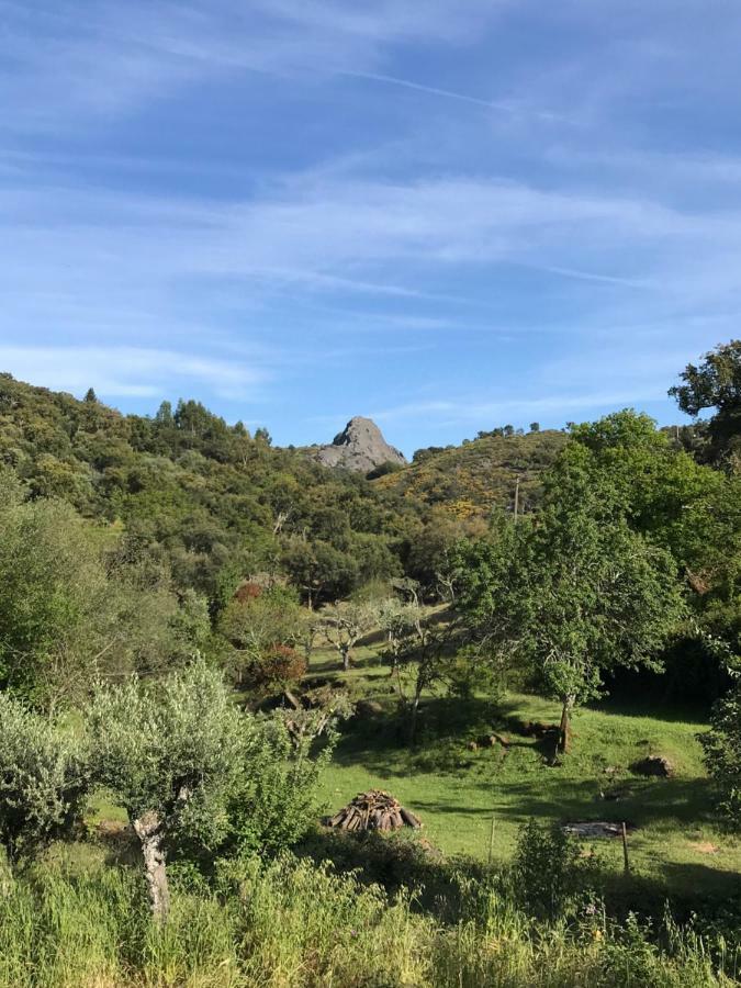 Azeite De Marvao, Olivoturismo Casa Mestre Do Lagar Екстериор снимка